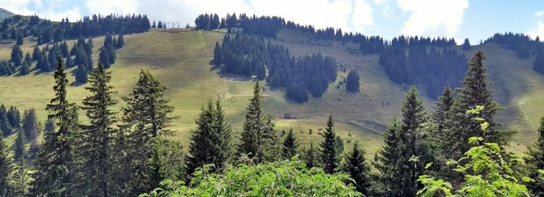 Circuit Rhône-Alpes - Jour 5 : Bergeries des Grands - Col de Balme - Le Tour