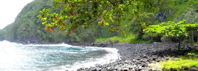 Circuit Ile de la Reunion - Jour 3 : Visite d'une vanilleraie - Piton Sainte Rose - Anse des Cascades - Grand Coude