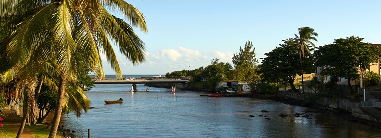 Circuit Ile de la Reunion - Jour 6 : Saint Pierre - Cilaos / Forêt des Tamarins - Maïdo