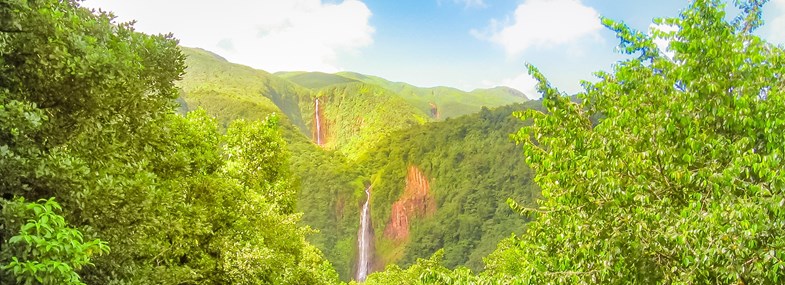 Circuit Guadeloupe - Jour 5 : Pointe à Pitre - Parc National de la Guadeloupe