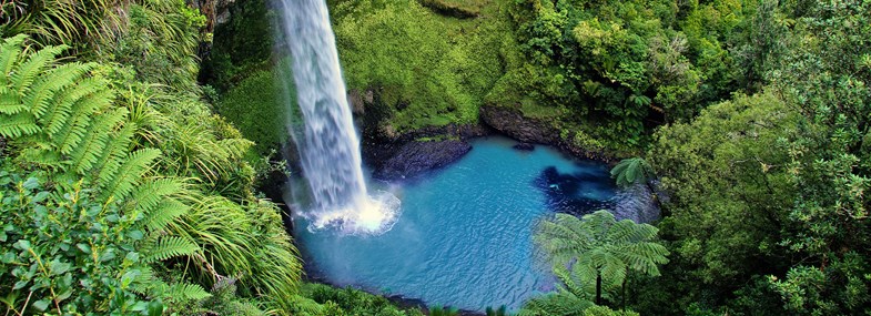 Chutes du carbet guadeloupe