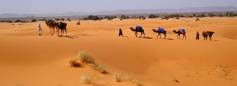 Circuit Maroc - Jour 4 : Dunes de Tidri - Erg Sahal