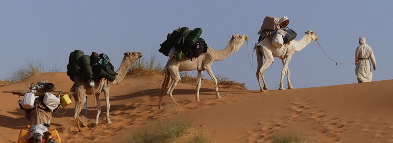 Circuit Mauritanie - Jour 4 :Erg Amatlich - Oasis El Meddah - Oasis El Gleitat