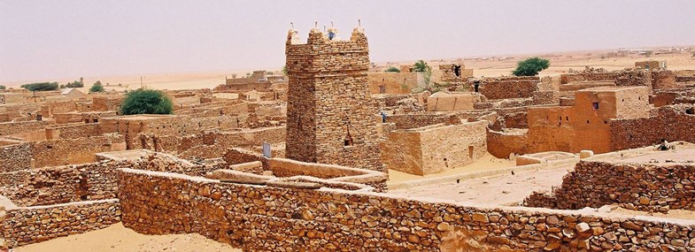 Circuit Mauritanie - Jour 7 : Vallée blanche - Oasis de Terjit - Oasis de Mhaireth - Chinguetti