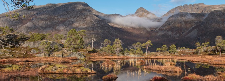 Circuit Norvège - Jour 3 : Parc national d'Anderdalen
