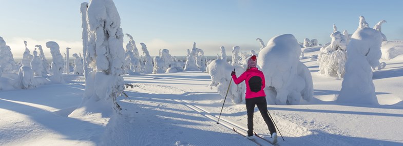 Circuit Laponie - Jour 2 : Journée trappeur - Ski nordique