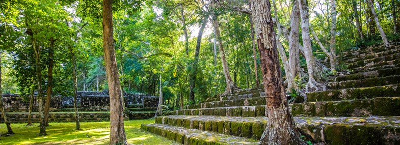 Circuit Mexique - Jour 8 : Palenque - Balamku - Chicana