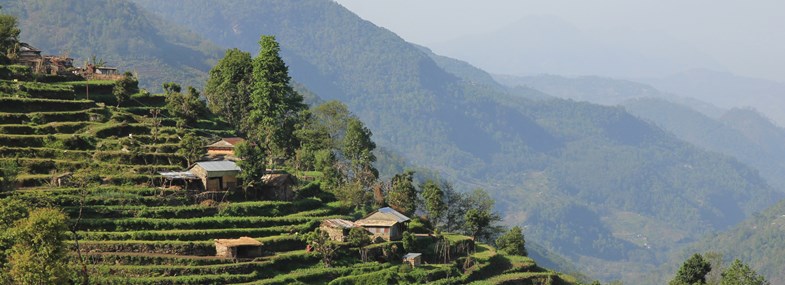 Circuit Népal - Jour 6 : Australian Camp - Landruk