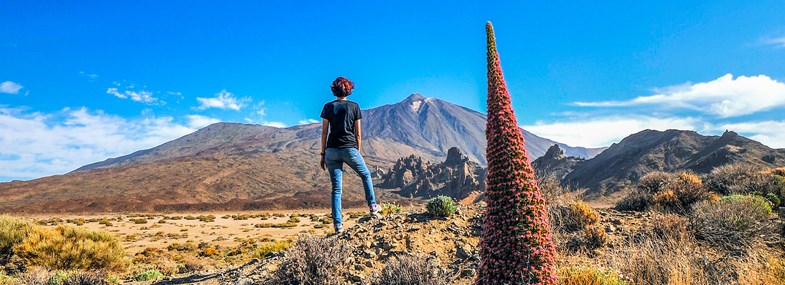 Circuit Canaries - Jour 5 - Le Teide et sa Caldera
