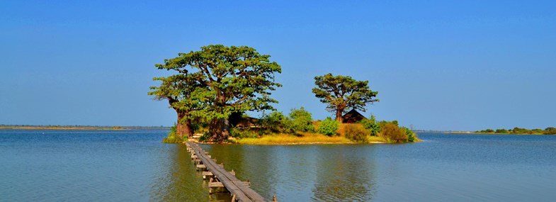 Circuit Sénégal - Jour 3 : Croisière dans le Sine Saloum