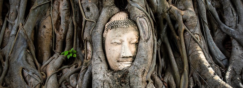 Circuit Thaïlande - Jour 4 : Marché Maeklong - Grotte Tham Khao Luang - Hua Hin