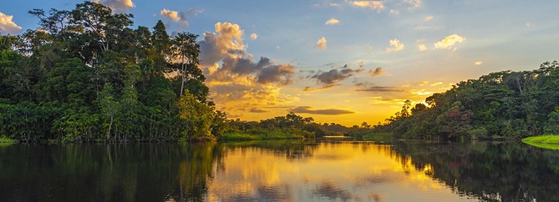 Circuit Costa Rica - Jour 4 : Tortuguero