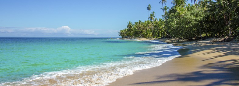 Circuit Costa Rica - Jour 8 : Réserve de Manzanillo