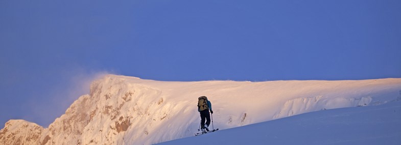 Circuit Montenegro - Jour 6 : Kolasin - Parc National de Biogradska Gora - Kolasin