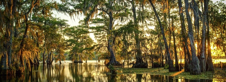 Circuit Etats-Unis - Jour 3 : Lafayette - Avery Island - Nouvelle Orléans