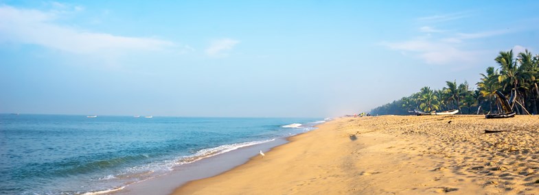 Circuit Inde - Jour 12 : Mararikulam - Cochin - Vol retour pour la France