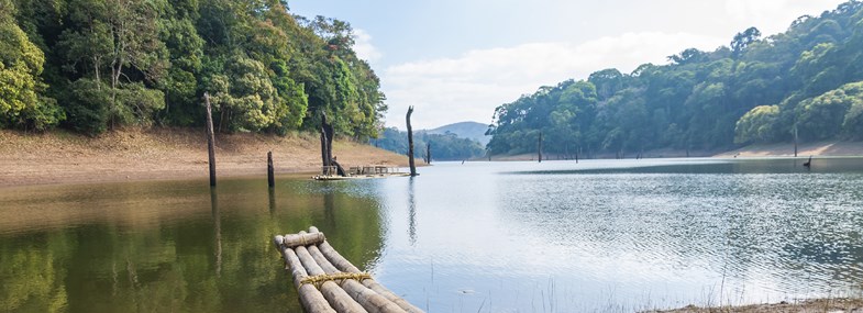 Circuit Inde - Jour 7 : Thekkady - Croisière sur le lac Periyar