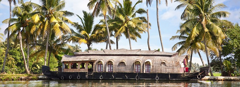 Circuit Inde - Jour 8 : Thekkady - Croisière sur les Backwaters - Kumarakom