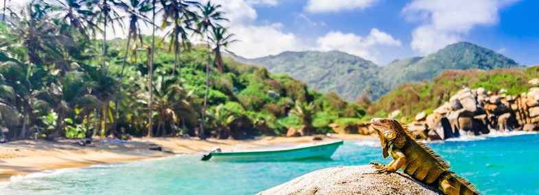 Circuit Colombie - Jour 8 : Santa Marta - Parc Taironaka 