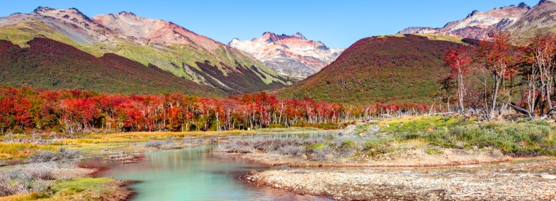 Circuit Argentine - Jour 4 : Ushuaïa - Parc national de la Terre de Feu