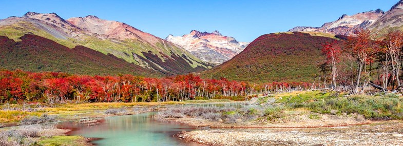 Circuit Argentine - Jour 3 : Ushuaïa - Parc National de la Terre de Feu - Canal du Beagle