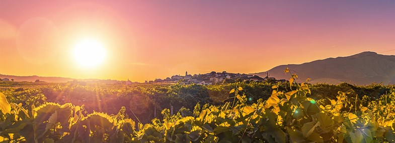 Circuit Croatie - Jour  6 : Lumbarda - Zrnovo