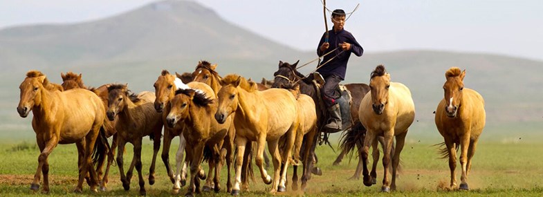 Circuit Mongolie - Jour 4 : Randonnée à cheval dans le parc national de Khogno Khan