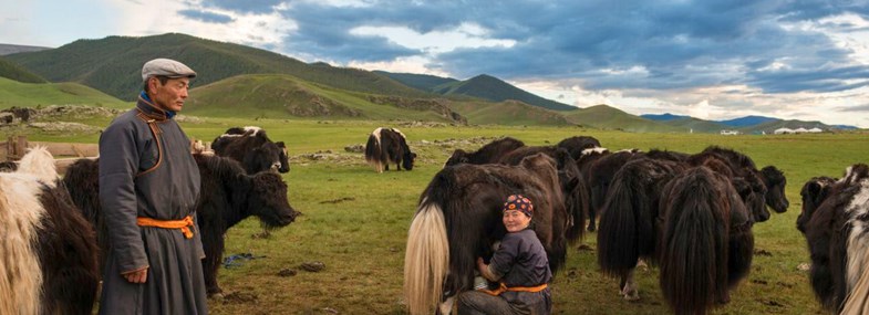 Circuit Mongolie - Jour 7 : Parc national de Naiman Nuur 