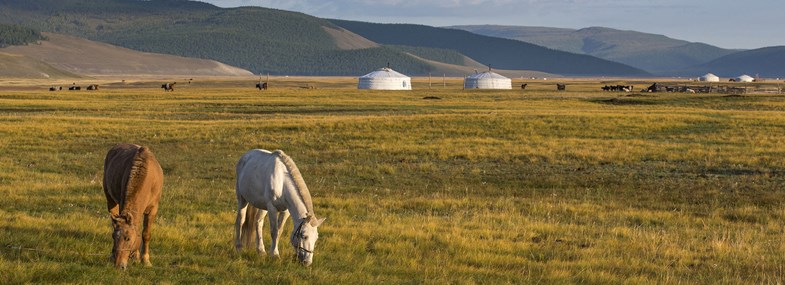 Circuit Mongolie - Jour  8 : Parc national de Naiman Nuur