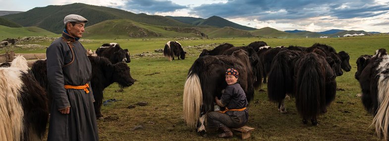 Circuit Mongolie - Jour 7 : Vallée de l’Orkhon - Parc national de Naiman Nuur 