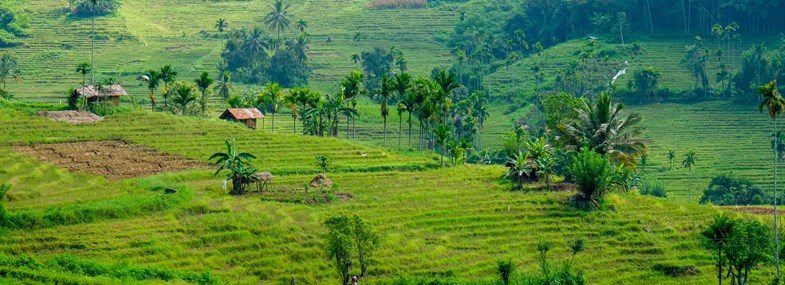 Circuit Sri Lanka - Jour 5 : Medagama - Randonnée dans la région des Knuckles