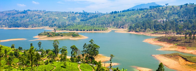 Circuit Sri Lanka - Jour 8 : Kandy - Nuwara Eliya - Nanu Oya - Bandarawela