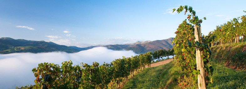 col de Lepoeder 