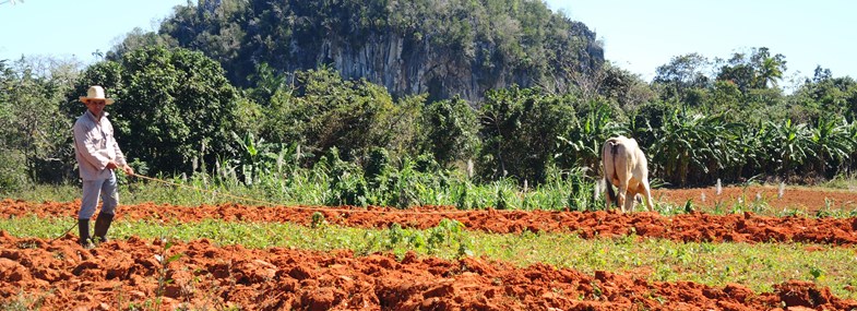 Circuit Cuba - Jour 2 : Soroa - Vinales