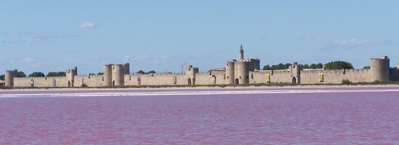 Circuit Occitanie - Jour 4 : La Camargue - Aigues Mortes - Saintes Marie de la Mer