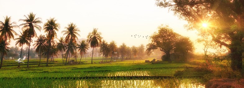 Circuit Inde - Jour 6  : Hampi