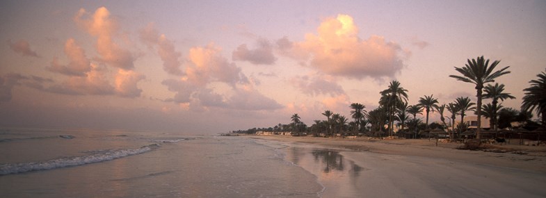 Circuit Tunisie - Jour 8 : Vol retour pour la France