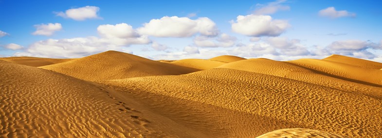 Circuit Tunisie - Jours 4 à 6 : Immersion dans le Sahara