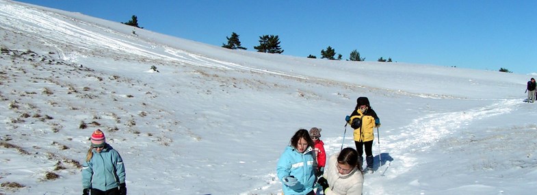 marche neige vercors