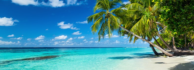 Circuit Guadeloupe - Jour 1 : Vol pour la Guadeloupe 