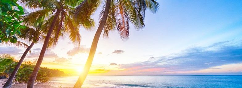 Circuit Guadeloupe - Jour 4 : Pointe Noire