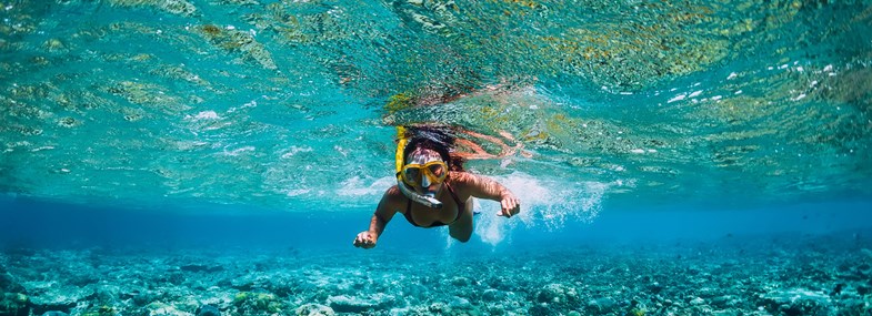 Circuit Guadeloupe - Jour 5 : Parc National de la Guadeloupe - Réserve Cousteau