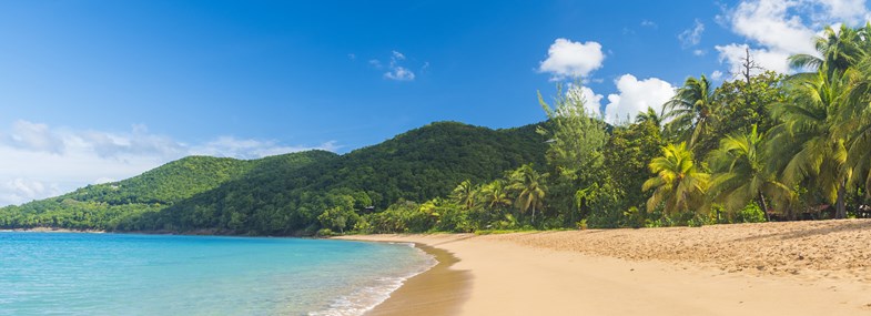 Circuit Guadeloupe - Jour 6 : Nord de Basse Terre
