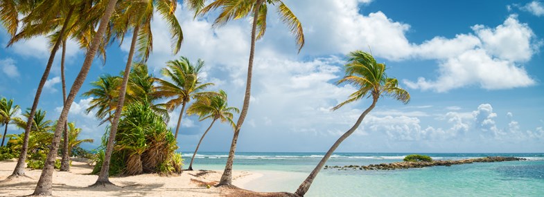 Circuit Guadeloupe - Jour 9 : Marie Galante