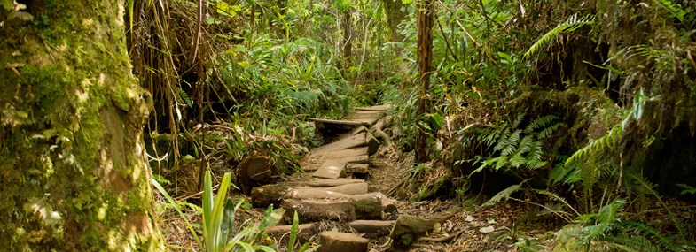 Circuit Ile de la Reunion - Jour 6 : Cirque de Mafate - Randonnée aquatique