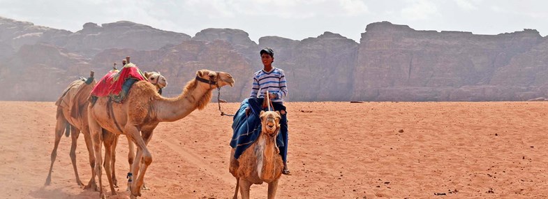 Circuit Jordanie - Jour 5 : Wadi Rum