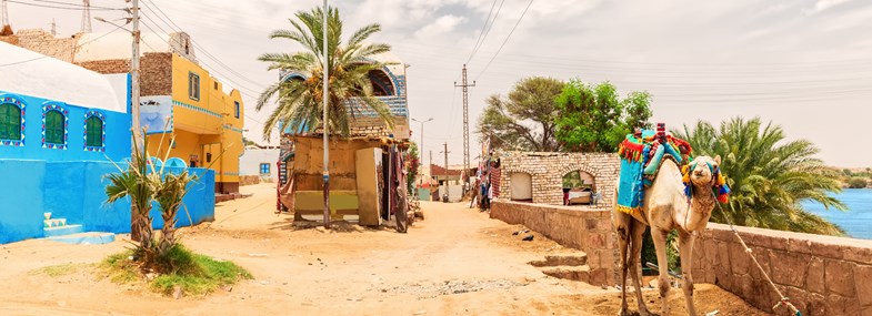 Circuit Egypte - Jour 6 : Navigation en Felouque - Ile de Bisaw - El Ramadi