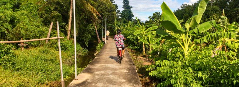 Circuit Thaïlande - Jour 4 : Découverte de Koh Kret à vélo - Bangkok