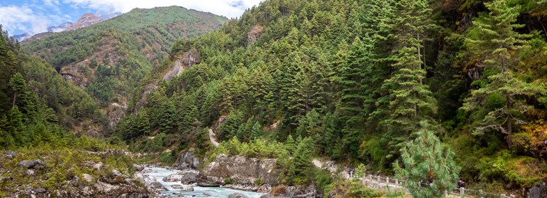Circuit Népal - Jour 10 : Namche (3440m) - Phakding (2610m)