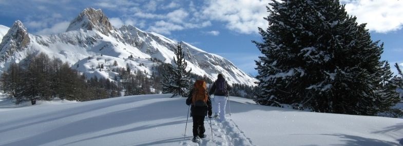 ALPAGE DE CLAPEYTO 